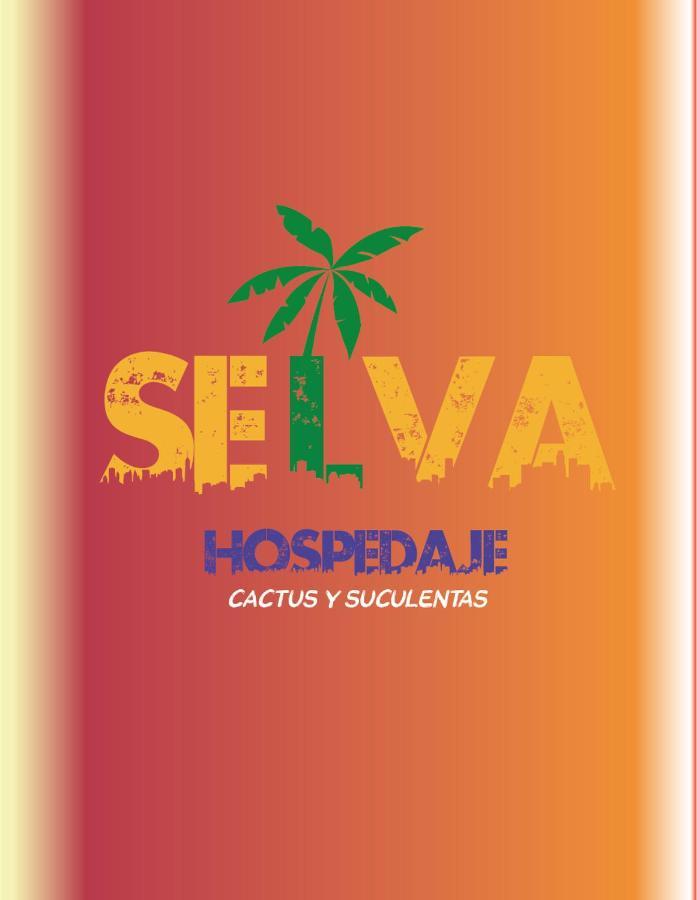 Selva Hospedaje Valparaíso Eksteriør bilde