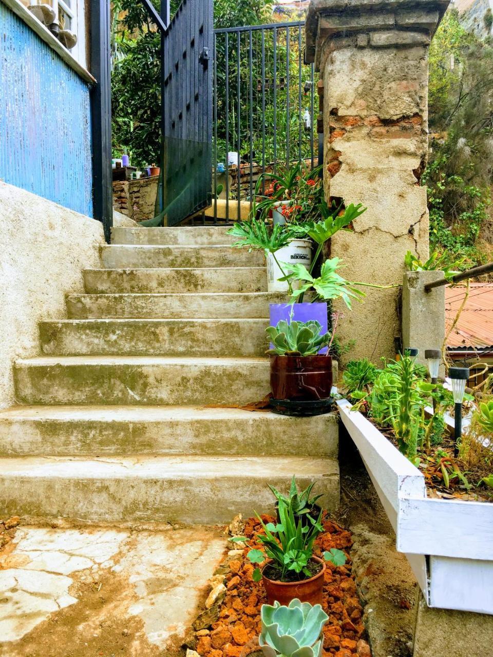 Selva Hospedaje Valparaíso Eksteriør bilde