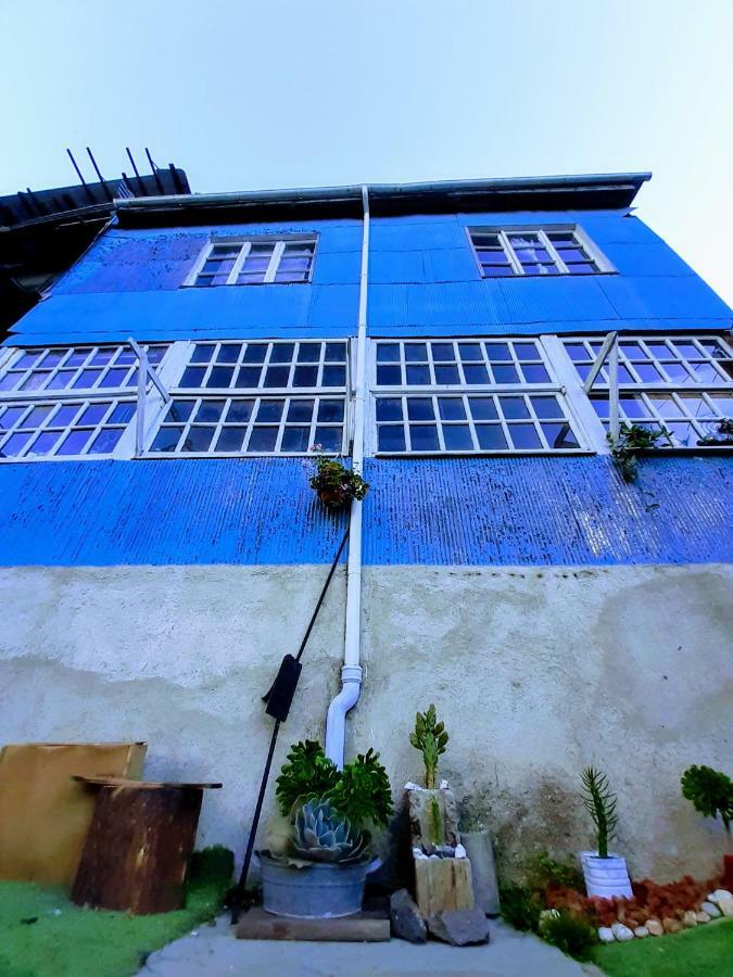 Selva Hospedaje Valparaíso Eksteriør bilde